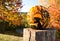 Halloween pumpkin on a wooden stump outside