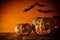 Halloween Pumpkin on wooden table in front of spooky dark background. Jack o lantern