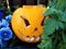 Halloween pumpking with scary smiling face