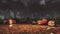 Halloween pumpkins in haunted forest at misty dusk