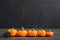 Halloween pumpkins with spider with black background