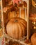 Halloween Pumpkins in the wooden crates