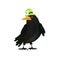 Halloween raven wearing green witch hat isolated on white background.