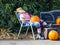 Halloween Scarecrow On Lounge Chair With Pumpkins & Suitcase