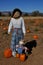 Halloween Scarecrows in field