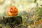 Halloween scary pumpkin in autumn forest