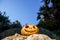 Halloween scary pumpkin with a smile in on a rock