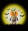 Halloween scary pumpkins and bat on moon background . Halloween scarecrow and Pumpkins. Orange pumpkin and bats with smile for you