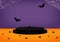 Halloween scene background. Black stage podium decoration with bats flying, spider, spider web. Pedestal scene with for product.