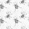 Halloween seamless pattern with spider, white background