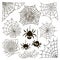 Halloween set of black spider web and three spiders isolated on