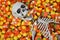 Halloween skeleton in candy