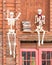 Halloween Skeletons and books in Fall