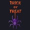 Halloween slogan with violet spider