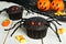 Halloween spider cupcakes with candy on wood background