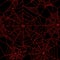 Halloween spider web Red on black background seamless pattern. S