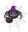 Halloween Spider Witch