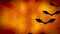 Halloween spooky animation with flying bats on orange gradient background.
