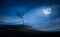 A halloween spooky lone bare branch tree in an isolated moors landscape at night