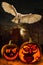 Halloween - Spooky Pumpkins - Owl