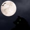 Halloween square background with black cat with green eyes, silhouettes of bats and full moon