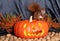 Halloween squirrel