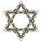 Halloween Star of David. Human hand bones and dog-rose flowers arranged in antcient religious symbol of Judaism.