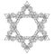 Halloween Star of David. Human hand bones and dog-rose flowers arranged in antcient religious symbol of Judaism.