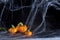 Halloween, sugar pumpkins and cobwebs on black background