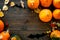 Halloween symbols. Pumpkins and cute figures of halloween evils. Bats. dark wooden background top view copy space