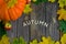 Halloween or Thanksgiving. Large ripe pumpkin on wooden table next to apple, autumn leaves decoration and inscription Autumn. Top