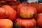 Halloween and Thanksgiving Pumpkins market large pile of orange pumpkin decoration pumpkin picking conceptual autumn photography