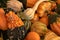 Halloween, Thanksgiving seasonal fall autumn holiday celebration background, a close up of a variety of unique unusual squash gour