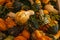 Halloween, Thanksgiving seasonal fall autumn holiday celebration background, a close up of a variety of unique unusual squash gour