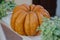 Halloween or Thanksgiving street decor. Pumpkins at store window, modern festive decoration. Happy Halloween. Autumn harvest