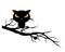 Halloween theme spooky black cat and spider on a tree branch - m