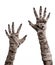 Halloween theme: terrible old mummy hands on a white background