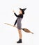 Halloween theme, young pretty asian girl in black dress wearing witch hat and holding broom posing finger pointing and touching on