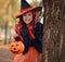 Halloween trick or treat.Happy girl wearing a witch`s hat, with a pumpkin handbag, peeps out from behind a tree.. Funny kid in