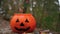 Halloween trick-or-treating: collecting candy in a pumpkin bucket