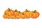 Halloween Vector Pumpkins Horizontal Banner