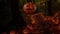 Halloween video Jack o lanter flies in a dark spooky forest among many pumpkins. 3d animation 2d looped place for text