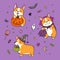 Halloween Welsh corgi dogs with pumpkin and treats