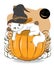 Halloween white cat on pumpkin in hat