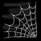 Halloween white spider web isolated on black background.