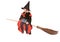 Halloween witch child girl in hat fly on broom.