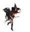 Halloween witch flying on broom