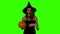 Halloween witch holding a orange pumpkin on green