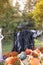 Halloween witch scarecrow and pumpkin decoration. Yard photo zone ideas