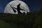 Halloween witch silhouette flying with broomstick. Full Moon Vineyard.